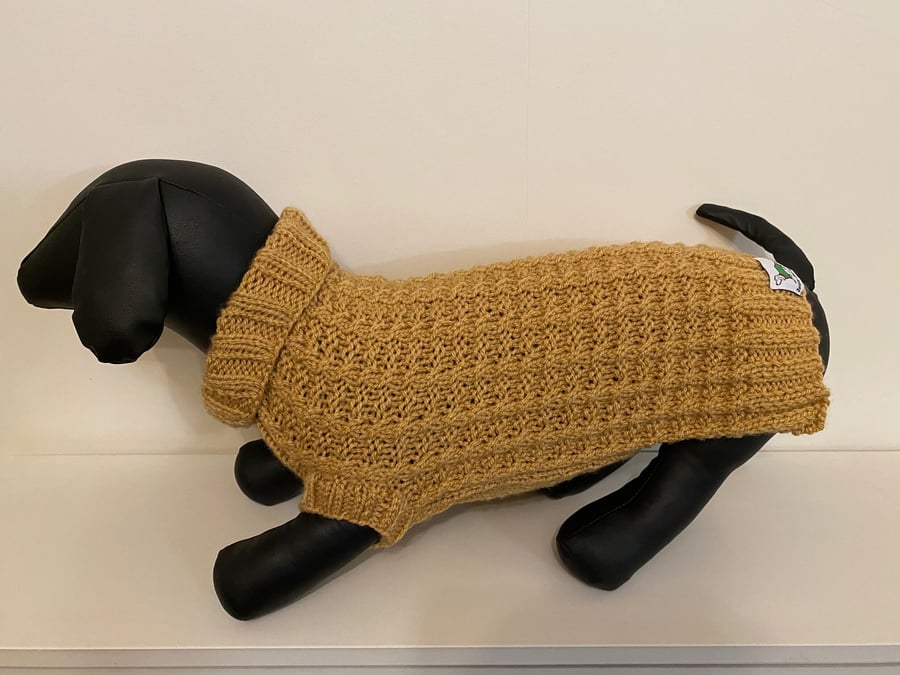 Dog Jumper - Ideal for a Miniature Dachshund or Small Dog, Hand Knitted