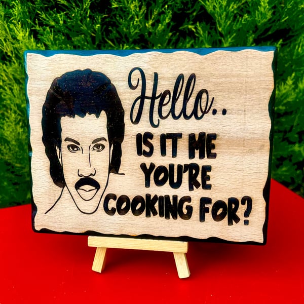 Hello is it me you're cooking for 