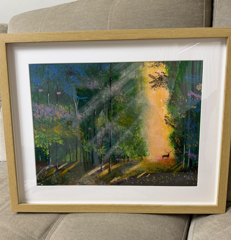 Woodland forest 
