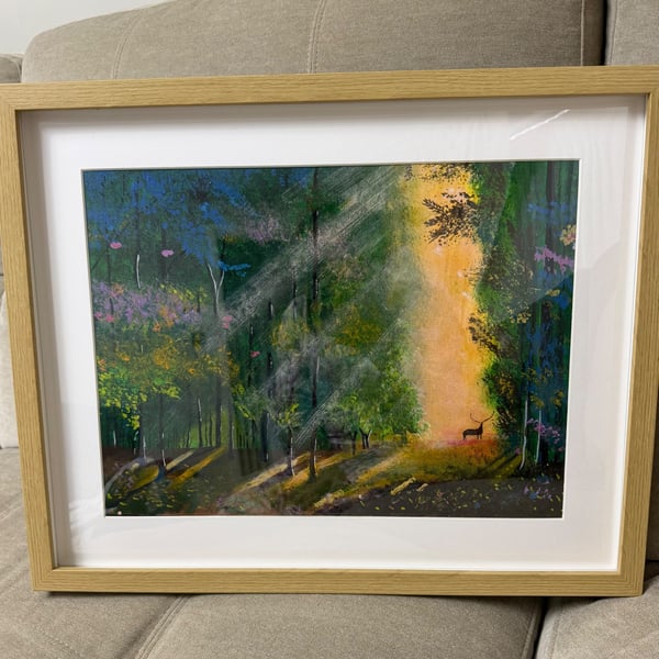Woodland forest 