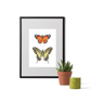 Tropical Butterflies A5 Digital Print - Image 2