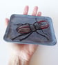 Stag Beetle Ceramic Dish - Hand Sculpted  - Image 6