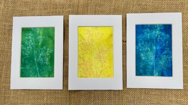  Trio of hand printed ornamental grass pictures.