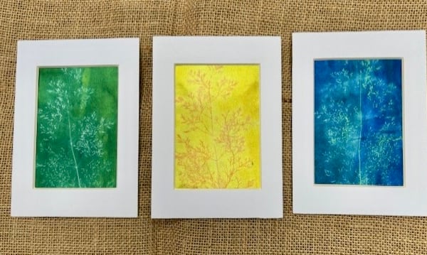  Trio of hand printed ornamental grass pictures.