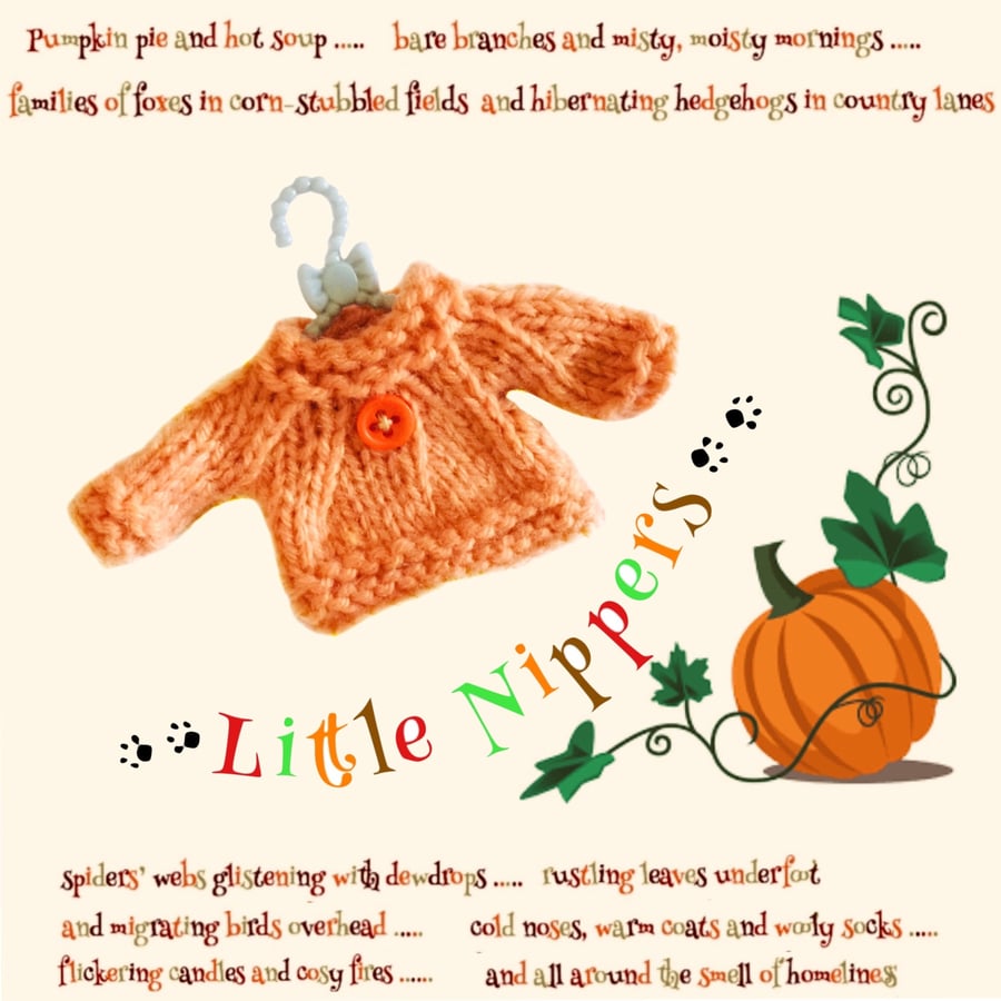 Little Nippers’ Orange Jumper