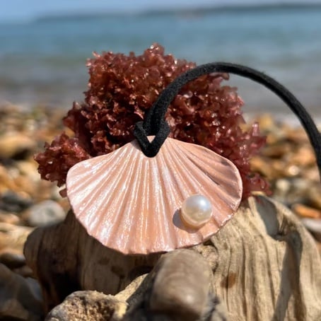 Sea shell pendant 