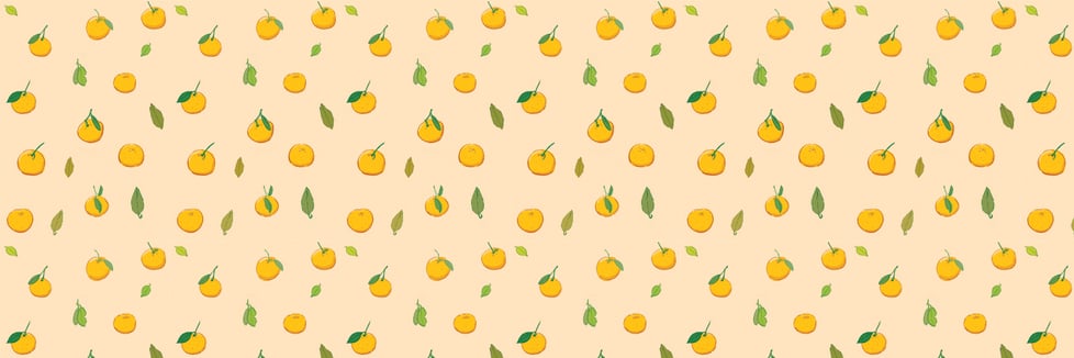 The Little Ragdoll Cat