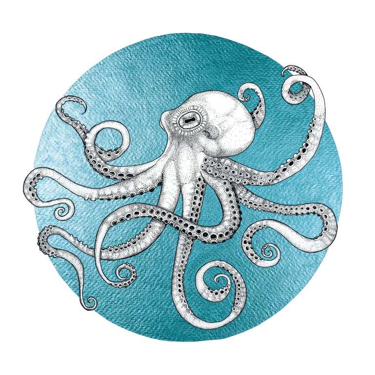Owen the Octopus - Aqua
