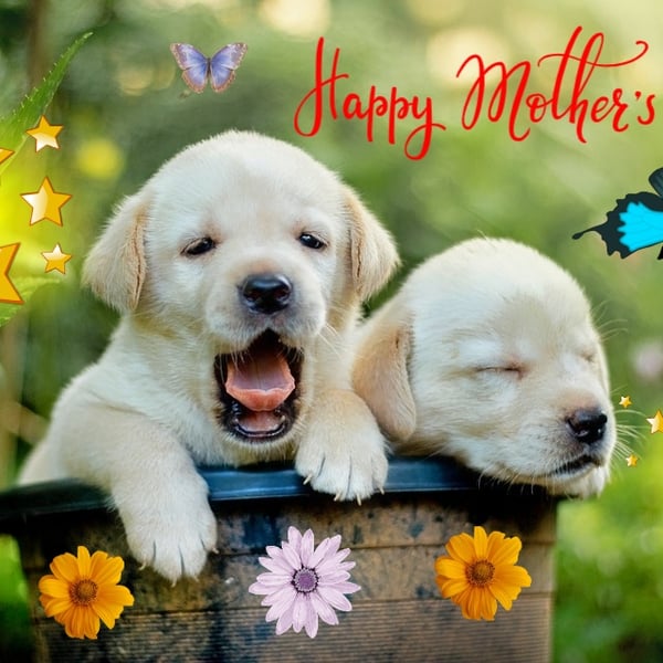 Happy Mother's Day Labrador Puppies Card A5