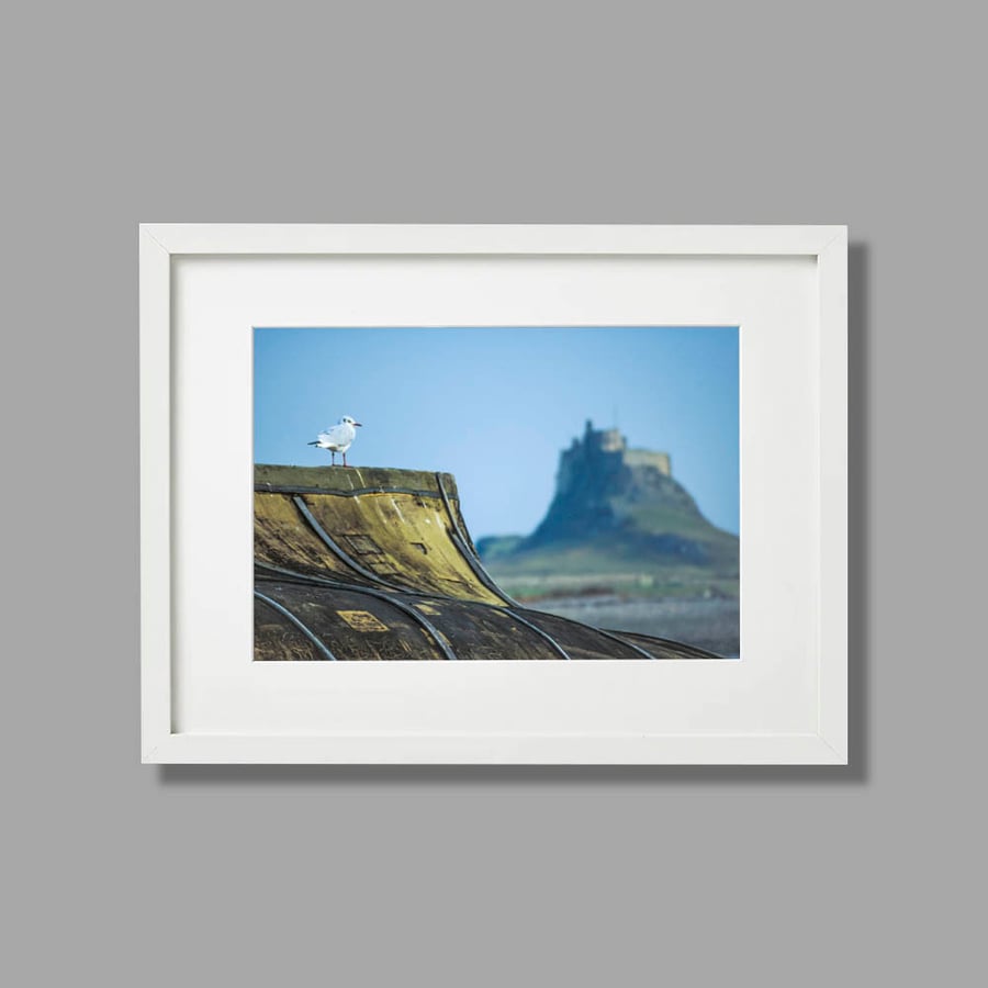 Landscape photograph of a gull looking at Lindisfarne Castle, Northumberland.