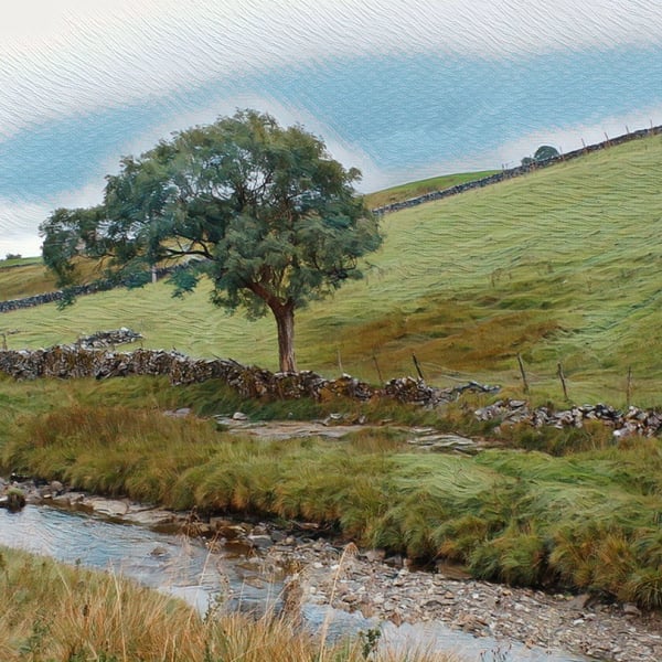 A5 Blank Greeting Card Yorkshire Dales 