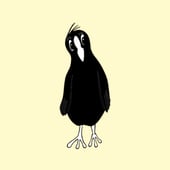 Coot Cards