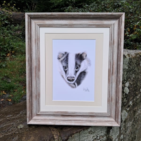 FRAMED Badger drawing limited run Gilcee Fine Art Print 