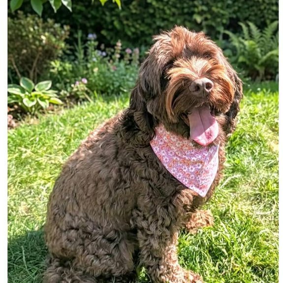 Scrunchie Dog or Cat Bandana "Pretty In Pink" 100% Cotton Pet Accessory. Stylish