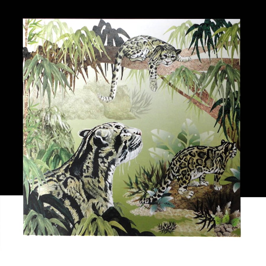 The Elusive Clouded Leopard