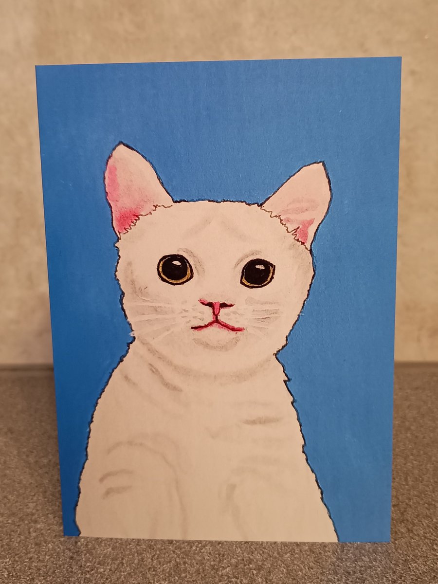 White Cat x 4 cards