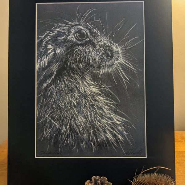 Ghost Hare - an A3 or A4 signed print of an original drawing