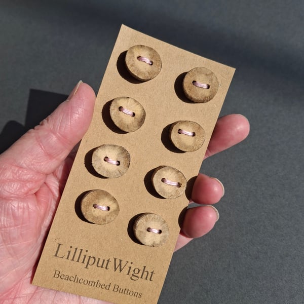 Set of eight small flat driftwood buttons