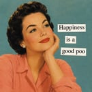 The Defintion of Happiness Vintage Acryllic Decorative Fridge Magnet