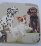 Set of 4 decoupaged jack russell and friends dog coasters. - Image 4