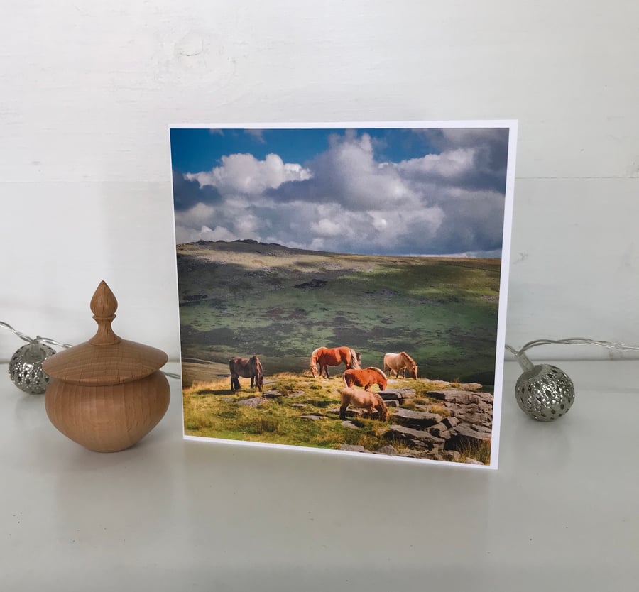 Greetings Card - Blank Photographic Greetings Card - Dartmoor Ponies, Devon