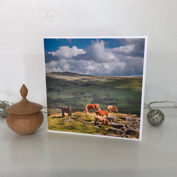 Photographic Greetings Card - Blank Greetings Card - Dartmoor Ponies 
