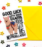 Funny Good Luck Exam Card, Cute Llama GCSEs, A Levels, Degree Support Card - Image 2
