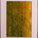 Light in the Green II