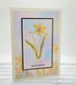 Daffodil Card - Easter, birthday, blank, springtime  - Image 4