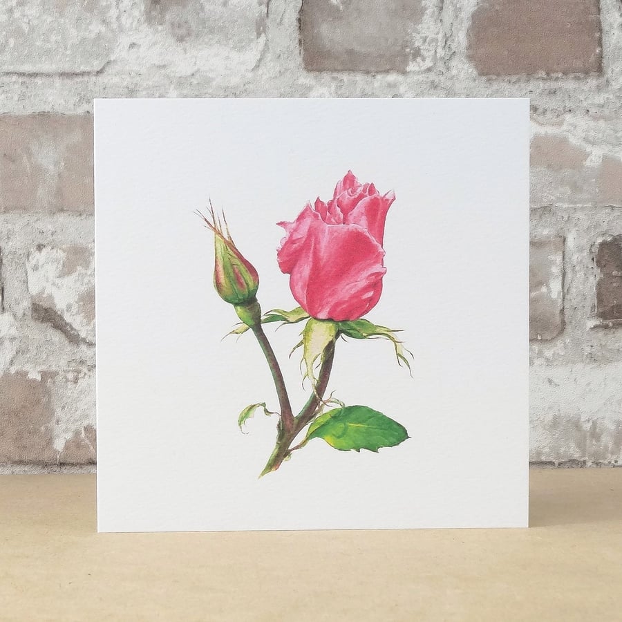 Blank Card Pink Rose Floral Card