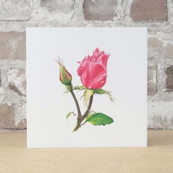 Blank Card Pink Rose Floral Card