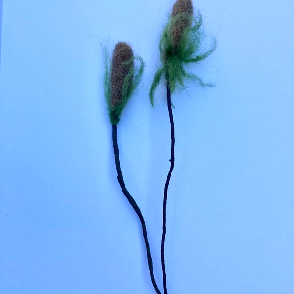 Two needle felted teasel flowers.