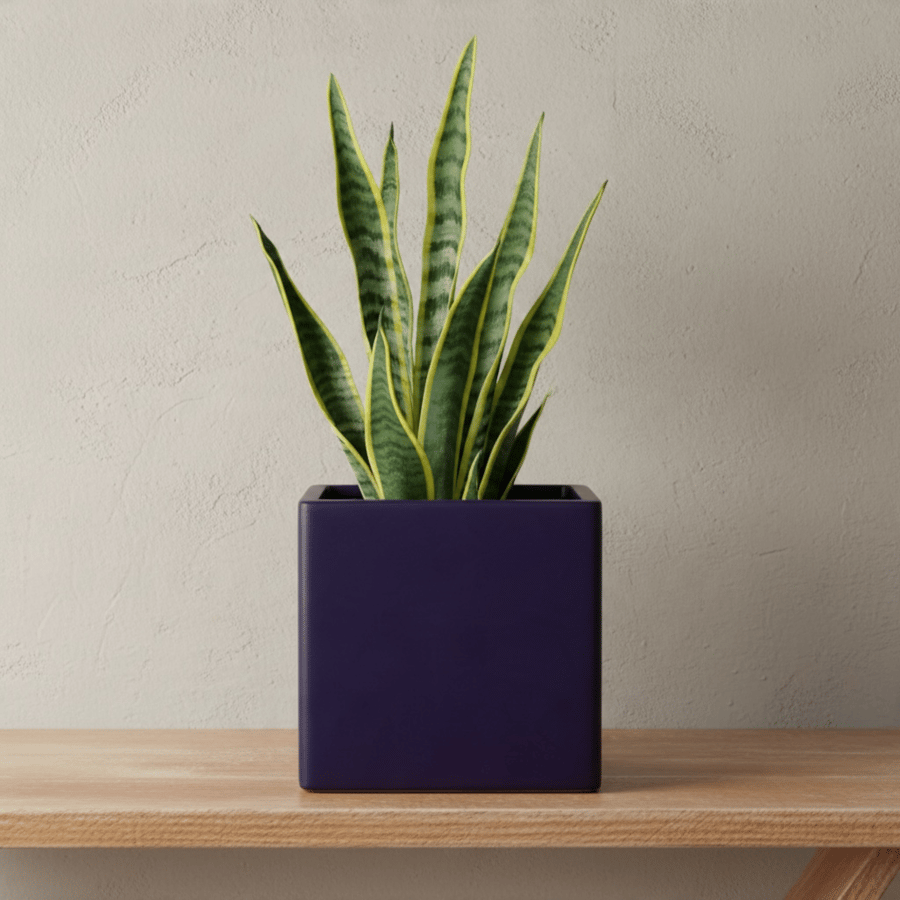 Medium Square Violet Plant Pot Indoor Planter 10 cm