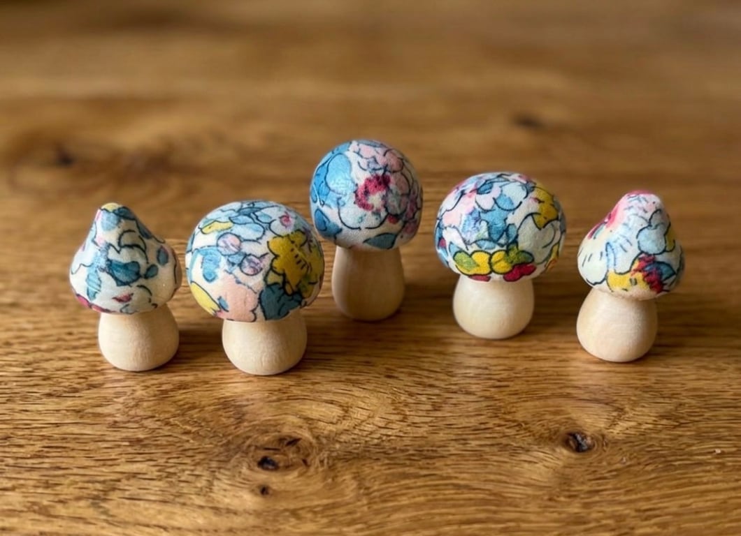 Set of 5 Mini Wooden Toadstools 