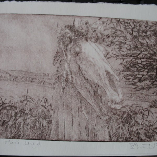 Mari Lwyd landscape drypoint etching - sepia variation