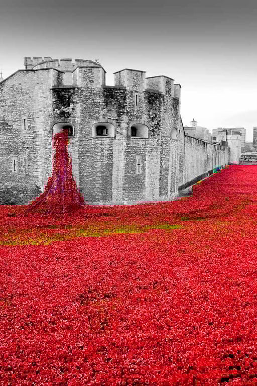 Tower of London Red Poppies England UK 12"x18" Print