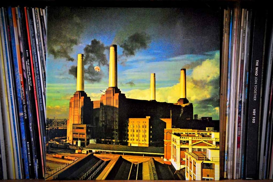 Pink Floyd Animals Album Front Cover Photograph Print