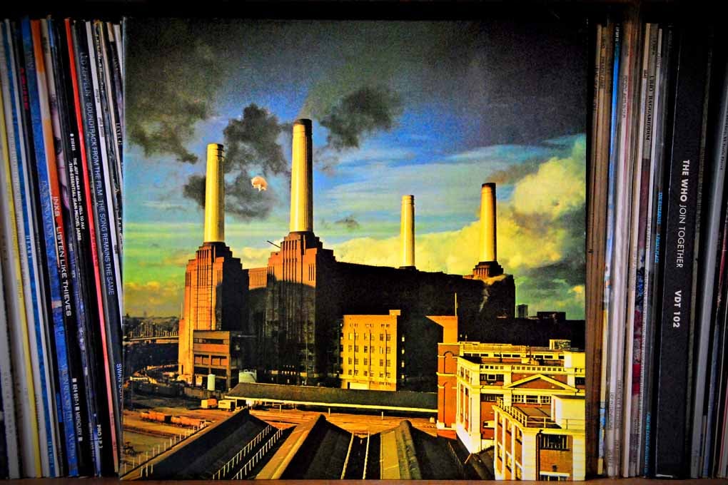 Pink Floyd Animals Album Front Cover Photograph Print