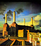 Pink Floyd Animals Album Front Cover Photograph Print