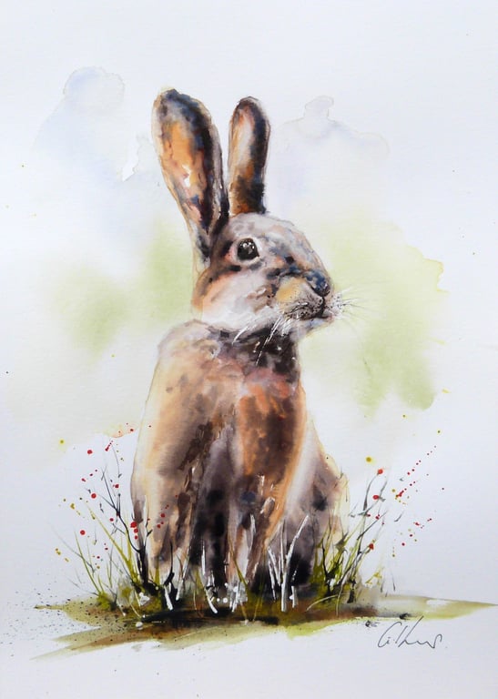 Rabbit, Professional Giclée Print.