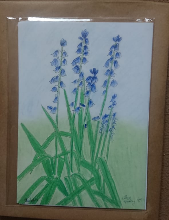 Bluebells print, original A4 mixed media artwork and A6 notecards