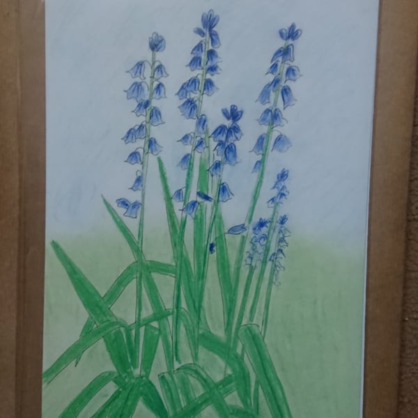 Bluebells print, original A4 mixed media artwork and A6 notecards