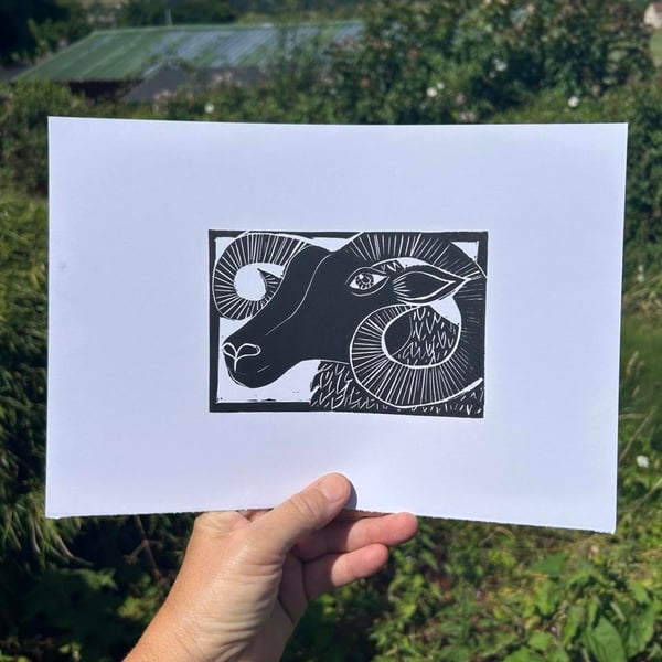 Sheep, Rams Head Linocut Print original art