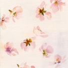 Cherry Blossom Flowers. Watercolour