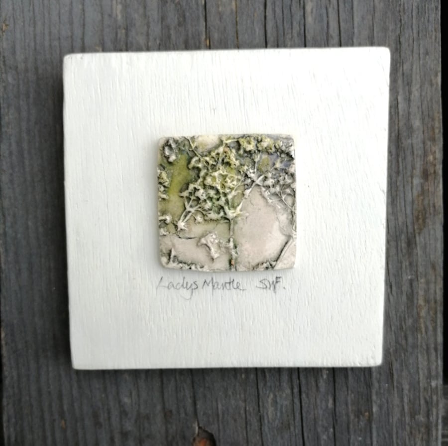 Ladys Mantle Ceramic Wall Art  1 of 2