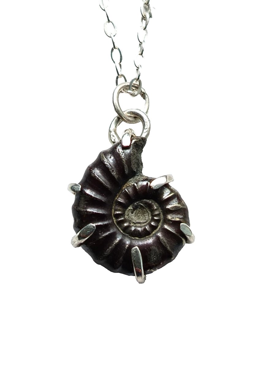 Pyrite Ammonite Fossil Necklace Recycled Sterling Silver Jewellery Gift in Box