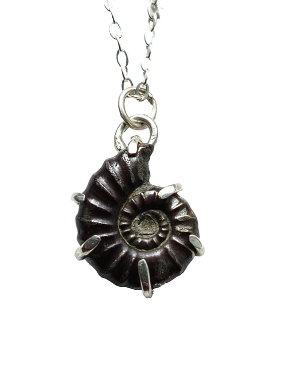 Pyrite Ammonite Fossil Necklace Recycled Sterling Silver Jewellery Gift in Box