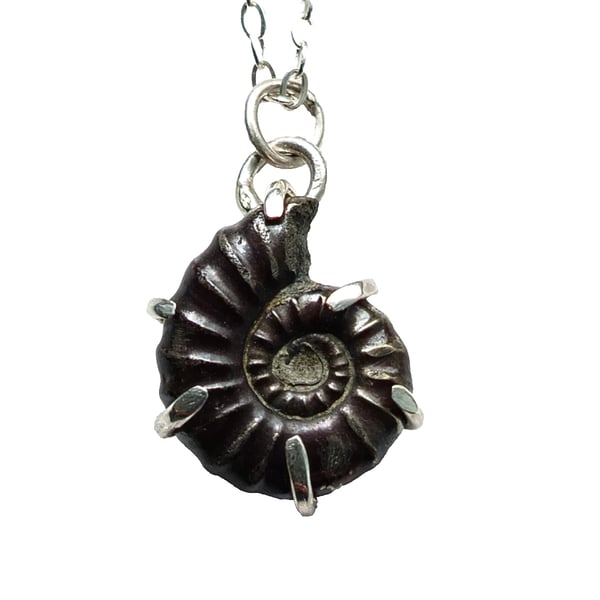 Pyrite Ammonite Fossil Necklace Recycled Sterling Silver Jewellery Gift in Box