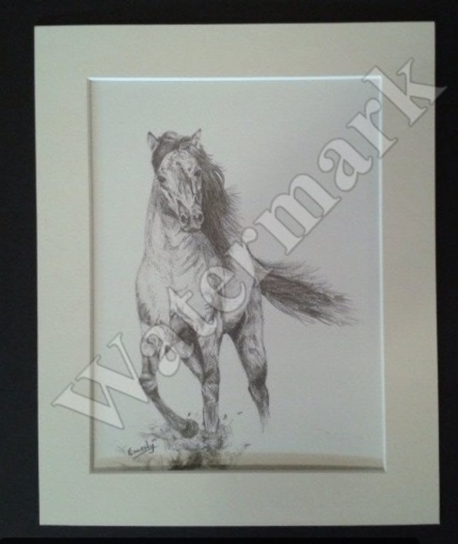 Wild Horse pencil drawing print