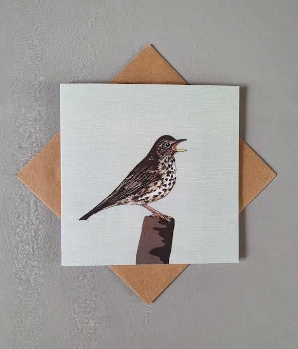 Song Thrush card, blank